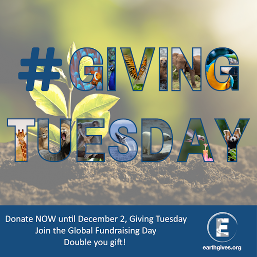 Giving Tuesday - Join the Global Fundraising Day. Double your gift.