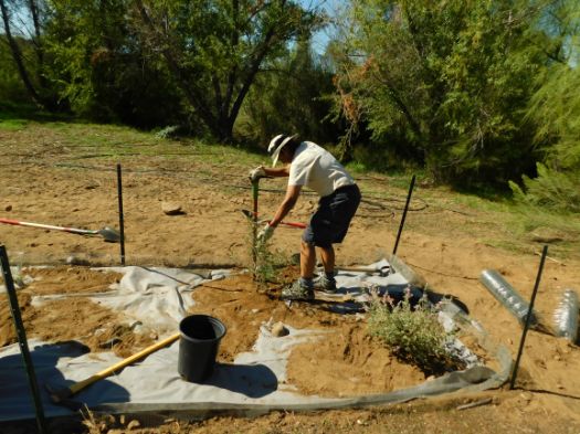 Volunteer working in one of four butterfly gardens. 