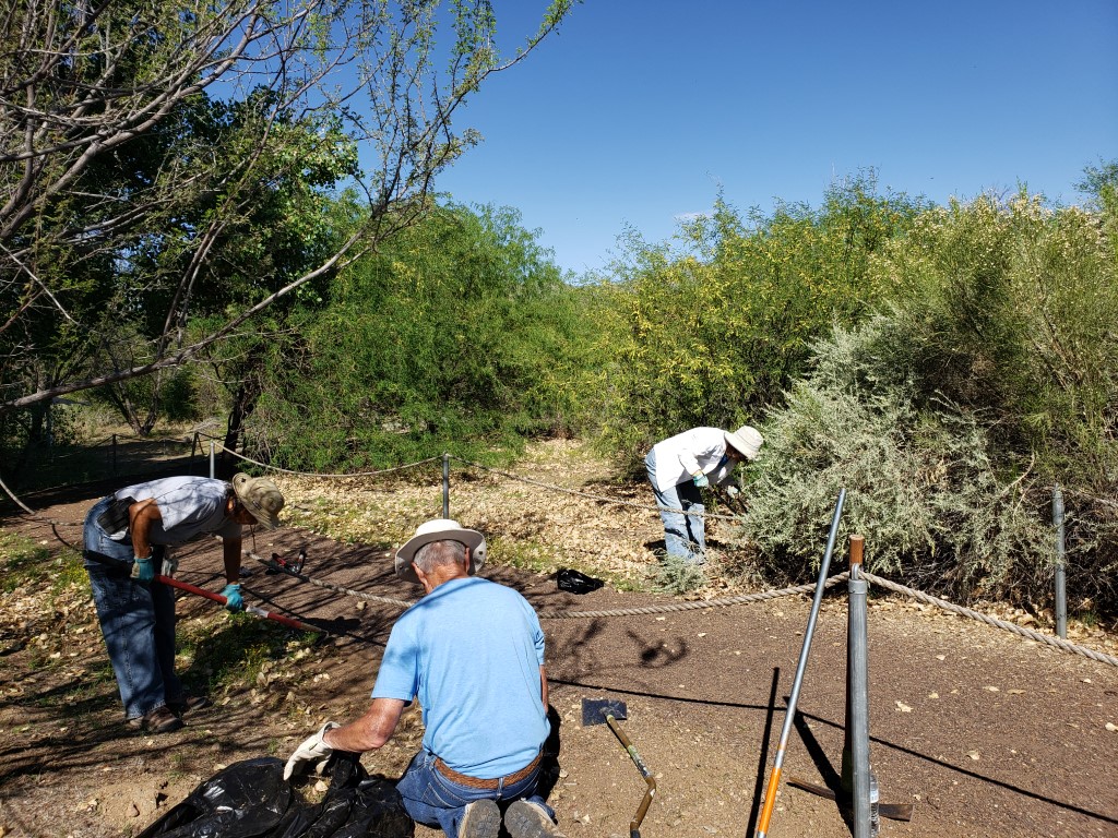 Removing invasives. 