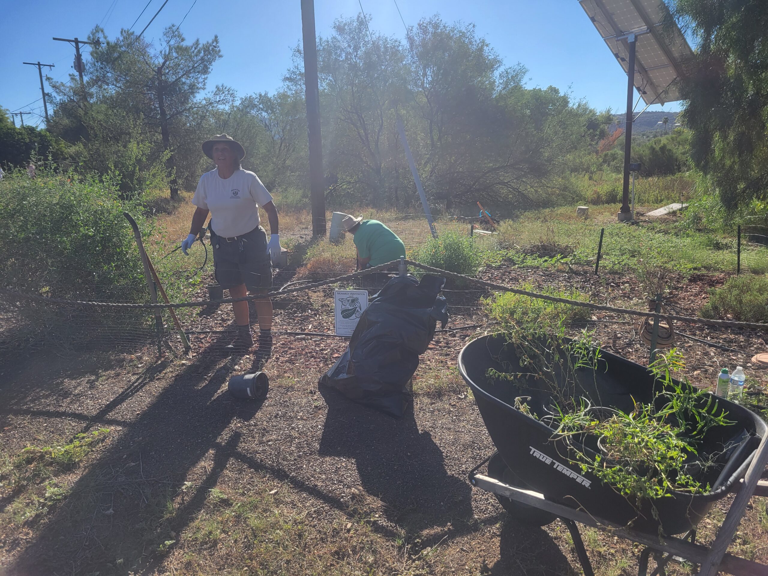 Georgette & Claire planting and weeding a butterfly garden