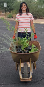 Desert Botanical Garden (Natalie) donating plants