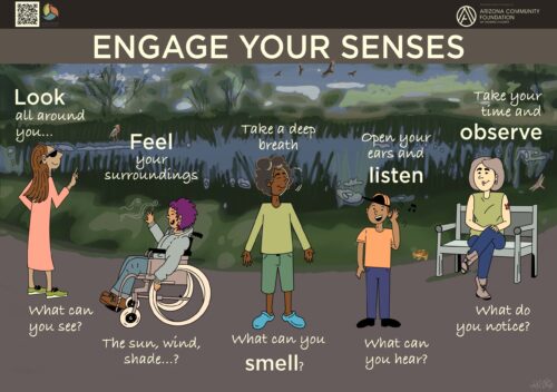 Engage Your Senses - Look, Listen, Smell, Feel, Observe