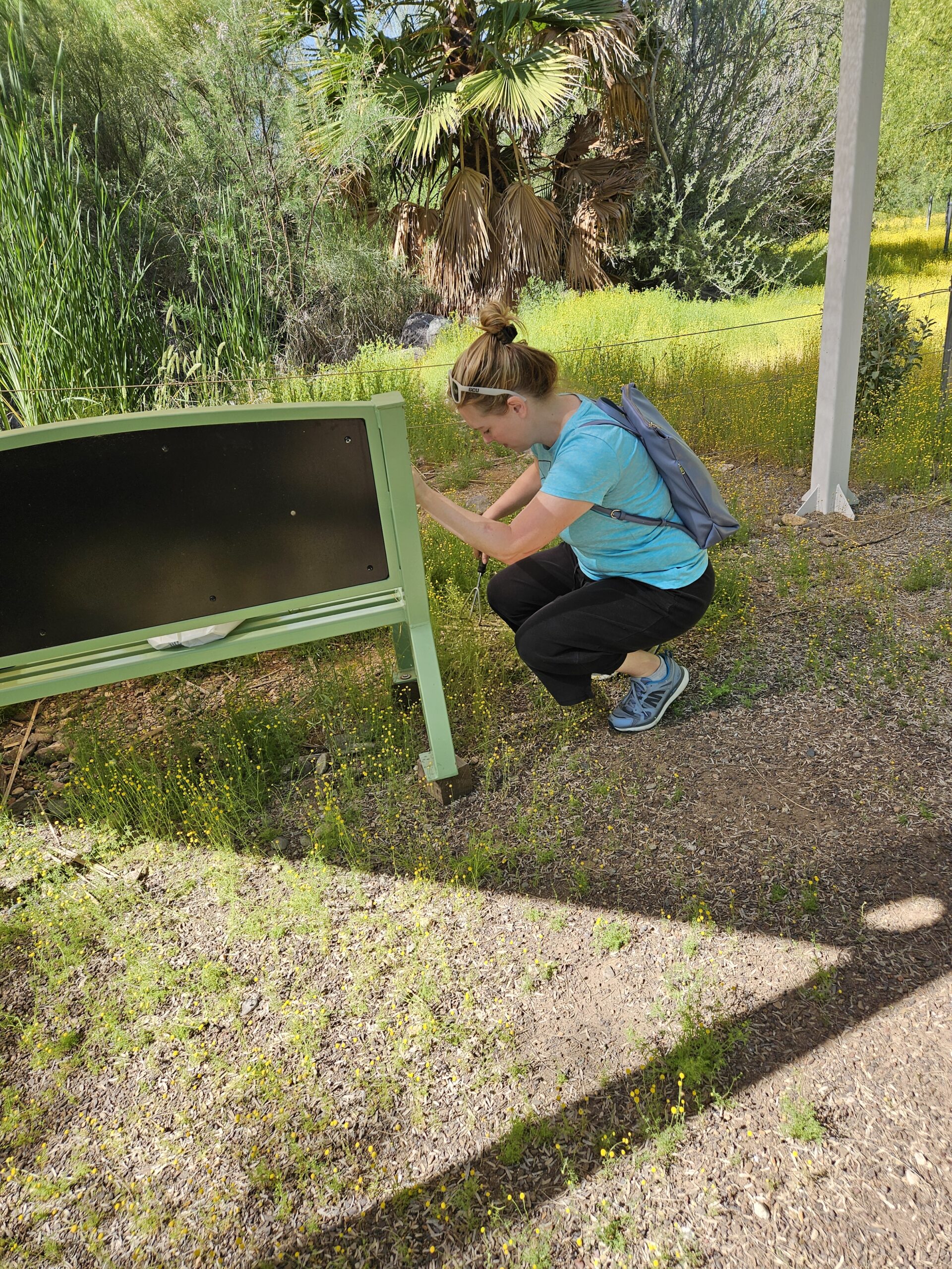 Volunteer clearing around visitor bench. 